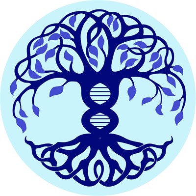 Модуль Программы ДНК 