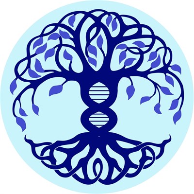 Модуль Программы ДНК 